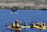 Hawaii Kayaking, UnCruise