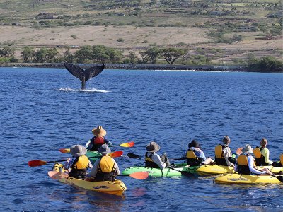 Hawaii Kayaking, UnCruise