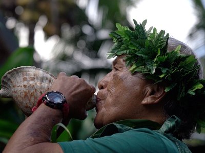 Hawaiian welcome