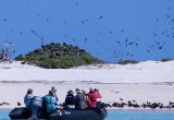 Ashmore Reef, Heritage Expeditions