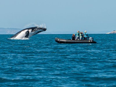 Freshwater Cove, Heritage Expeditions