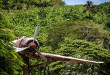 World War II relic, Bougainville