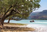 Kimberley mangroves