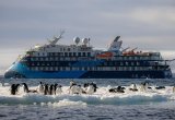 Ocean Victory with Adelie penguins