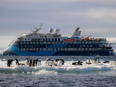 Ocean Victory with Adelie penguins