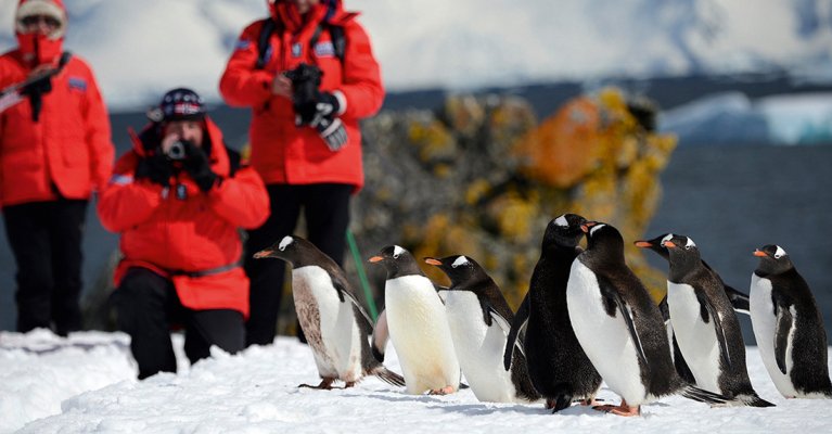 Antarctic Peninsula – Realm of Penguins & Icebergs by Poseidon