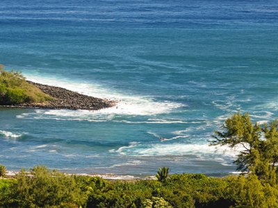 Hawaii landscape