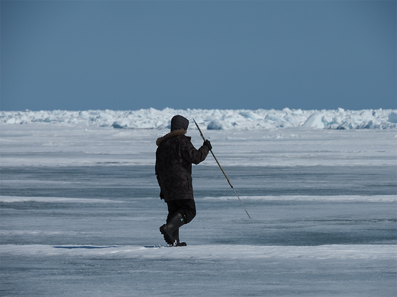 An Inuit hunter with a spear on the Arctic ice