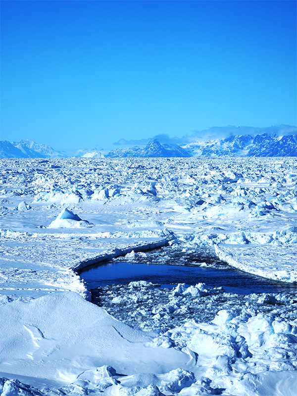 Lucy's photo of a sunny day in Greenland